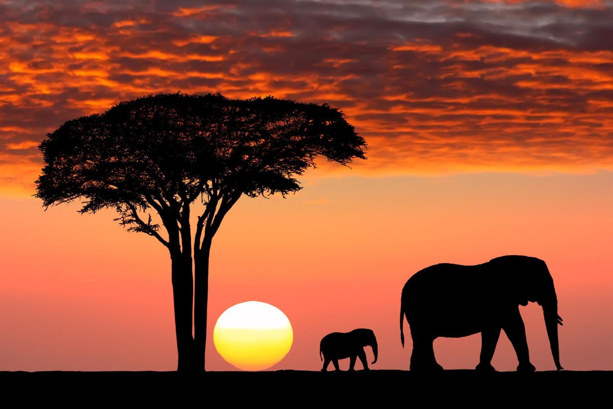 Olkinyei Mara Tented Camp Talek Exterior foto